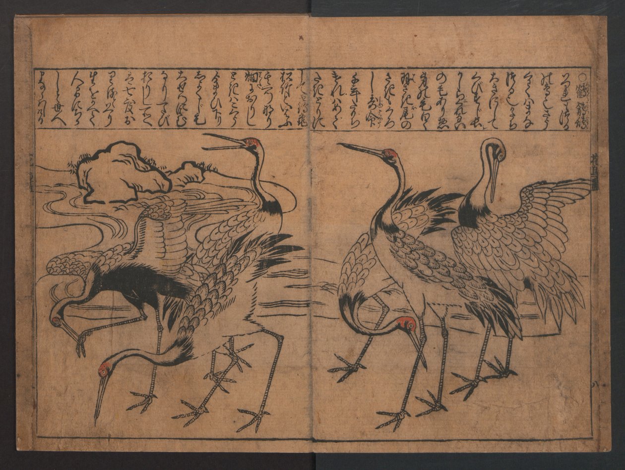 Illustrationen von Vögeln und Blumen (Kachō e-zukushi) - Hishikawa Moronobu