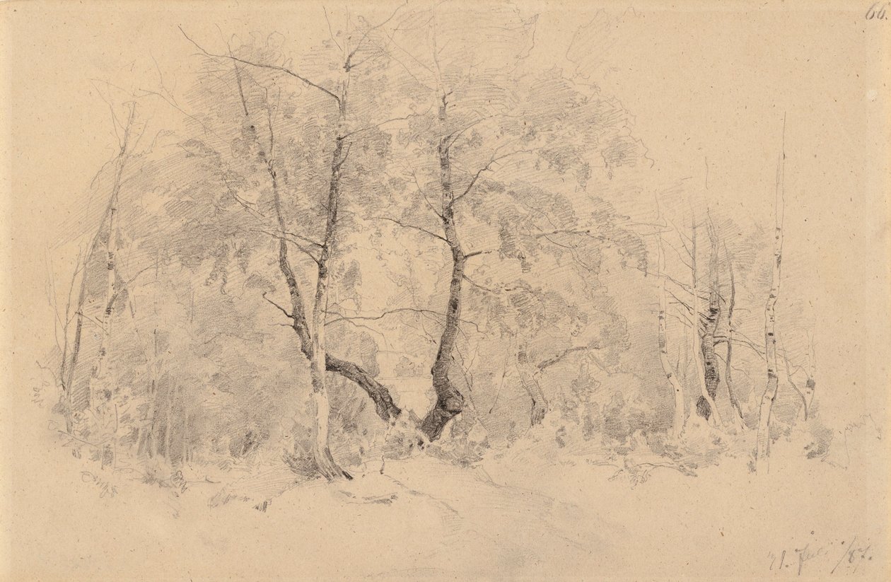 Bosquet de bouleaux - Hjalmar Munsterhjelm