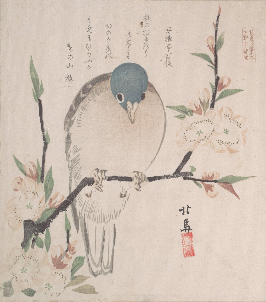 Collection de pluie printanière Harusame shu, vol. 3: Colombe de montagne et fleurs de pêcher, vers 1820 - Hokuba