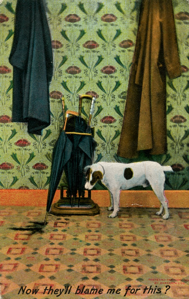 Maintenant ils vont me blâmer pour ça, vers 1910 - Holmfirth Bamforth and Co