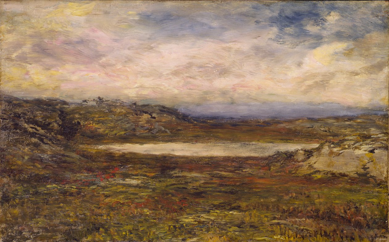 Côte sauvage, Newport, vers 1885-1895 - Homer Dodge Martin