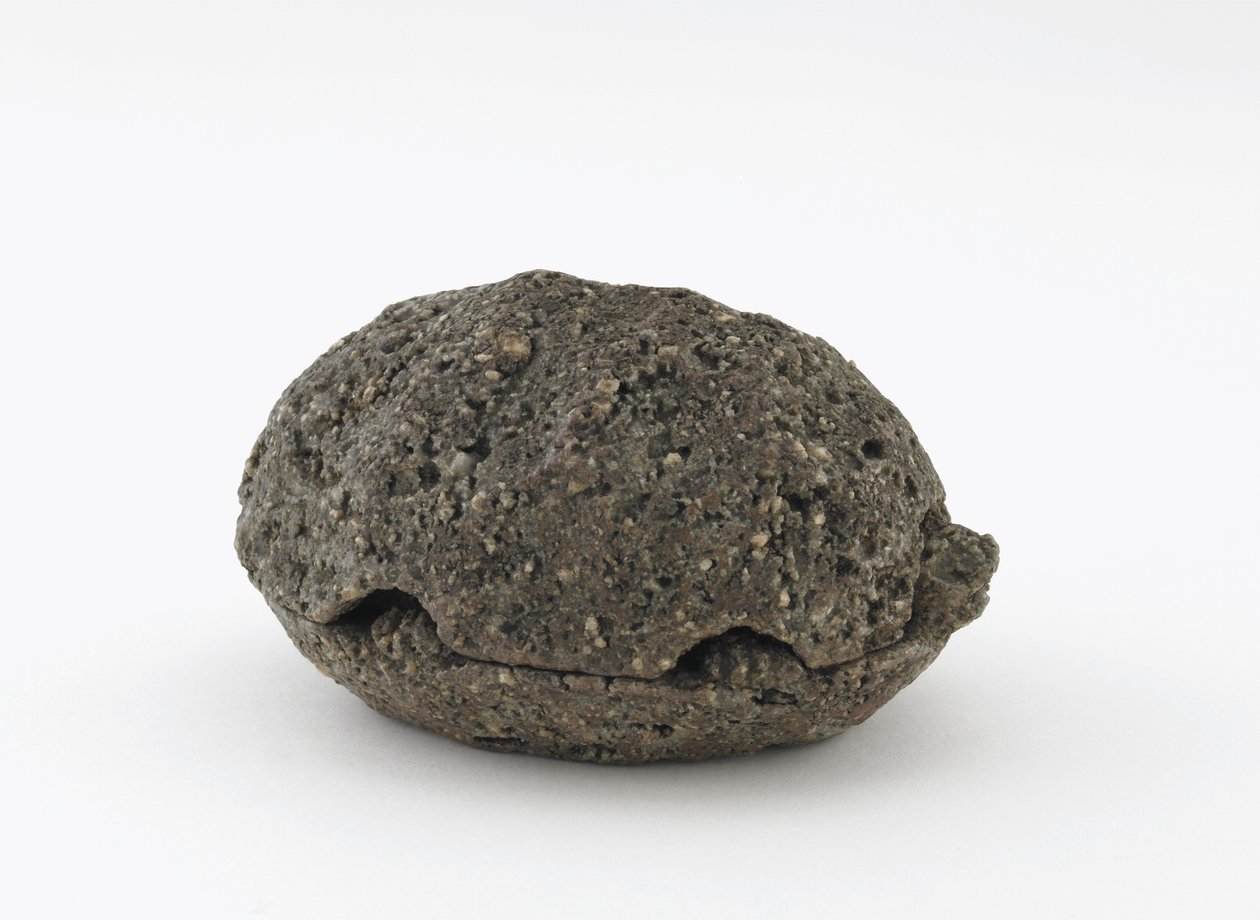 Boîte à encens en forme de tortue, Kyoto, période Edo (grès non émaillé de style Shigaraki) - Honami Koho