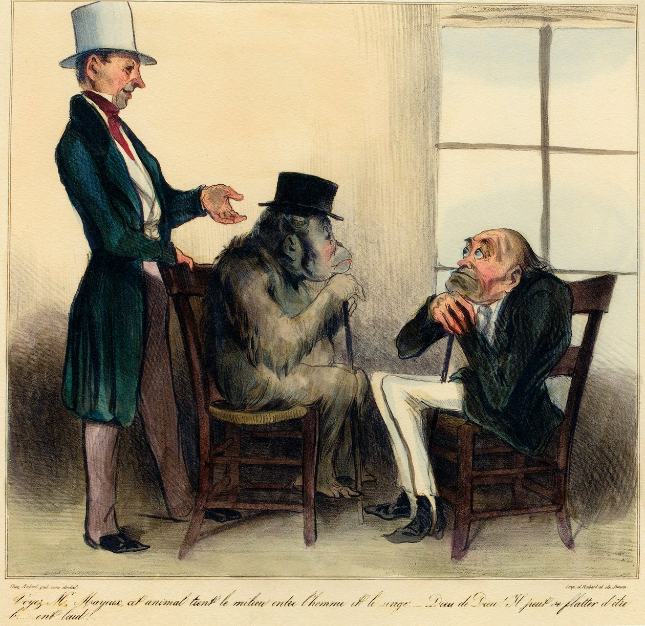 Voyez M. Mayeux, cet animal tient le milieu entre l