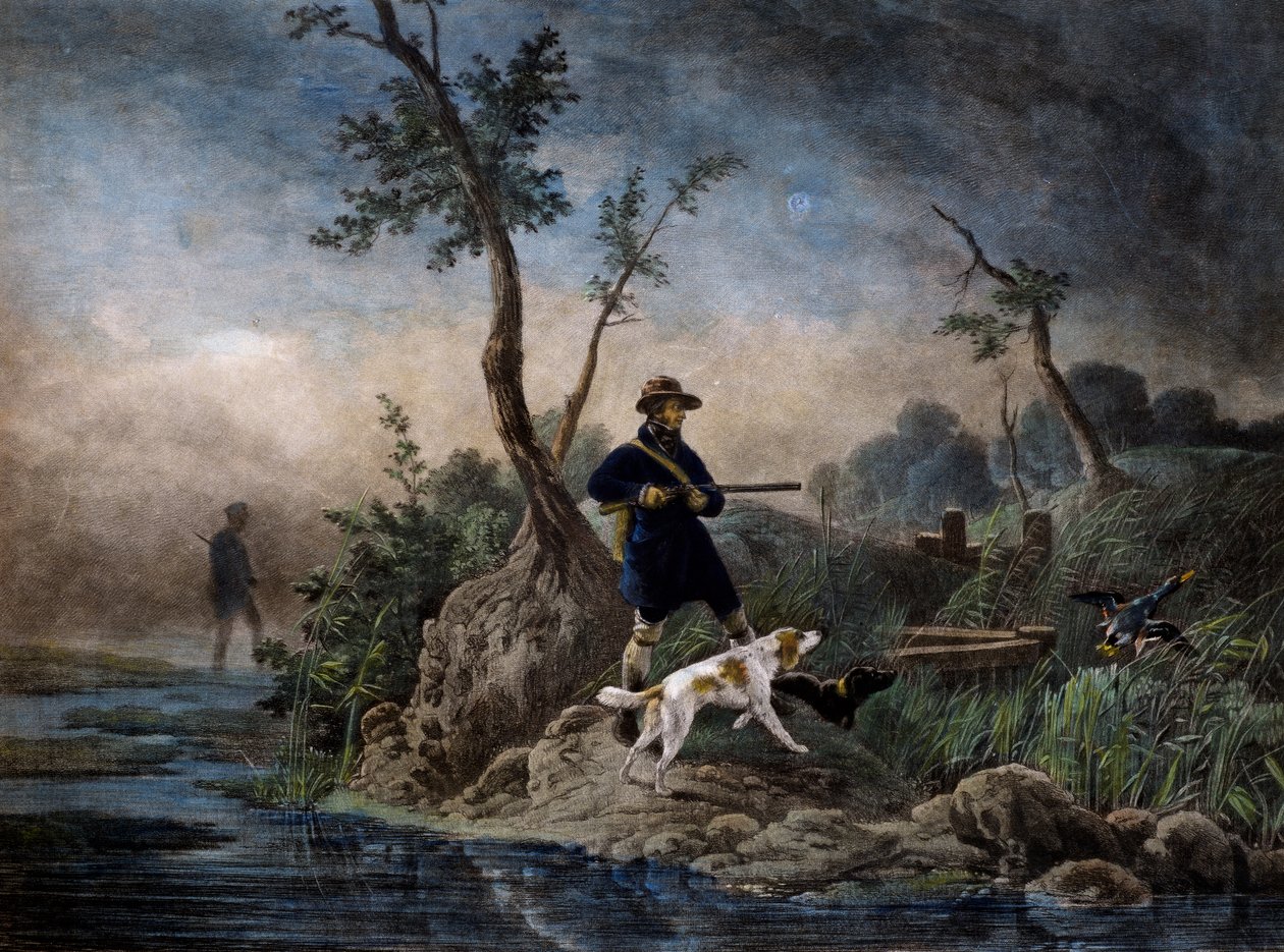 Chasse aux canards dans les marais, gravure d