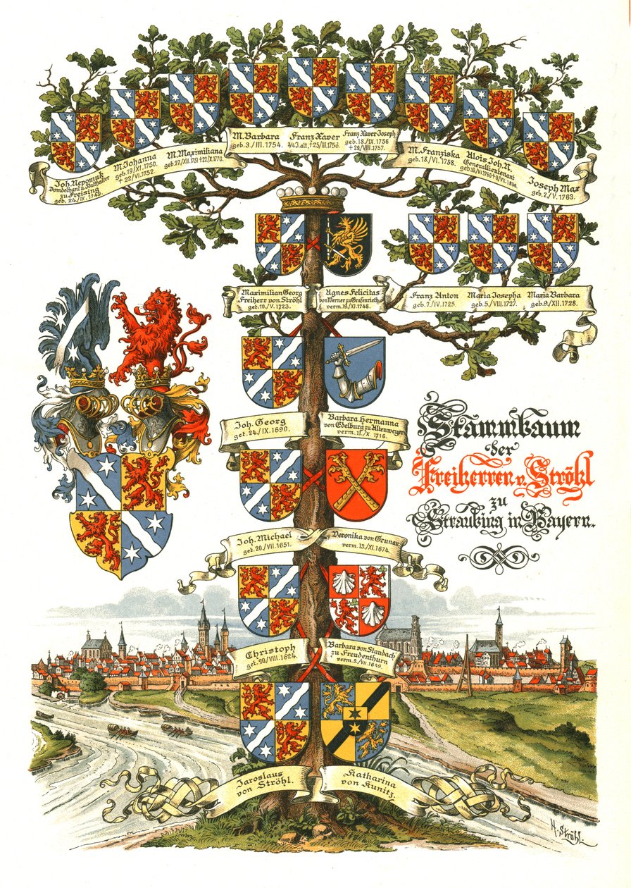 Arbre héraldique de Strohl - Hugo Gerard Strohl
