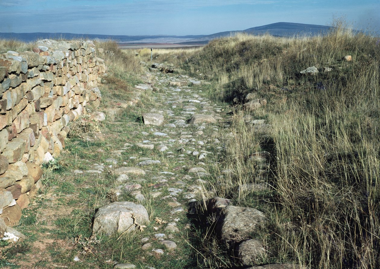 Vestiges des murs de la ville ibérique conquise par Scipion Émilien en 133 av. J.-C. - Iberian