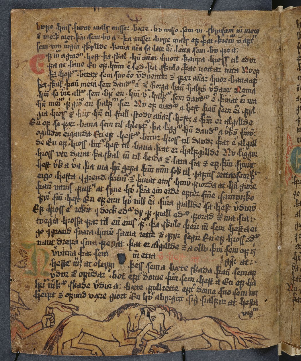 Combat de chevaux, de Heynesbok (Le Livre de Heynes), 1ère moitié du XVIe siècle - Icelandic School