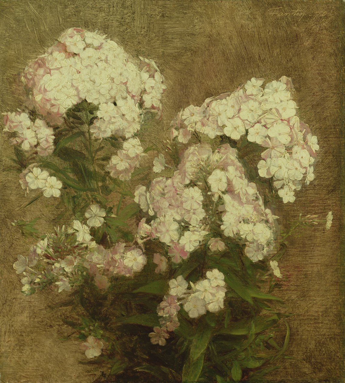 Phlox - Ignace Henri Jean Fantin Latour