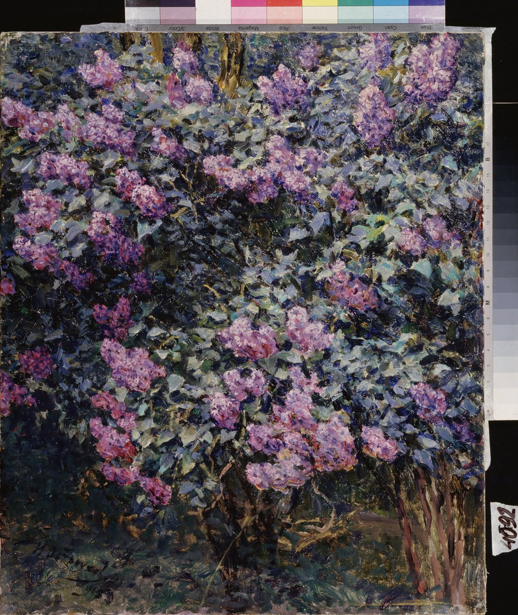 Lilas - Ilya Ostrouhov