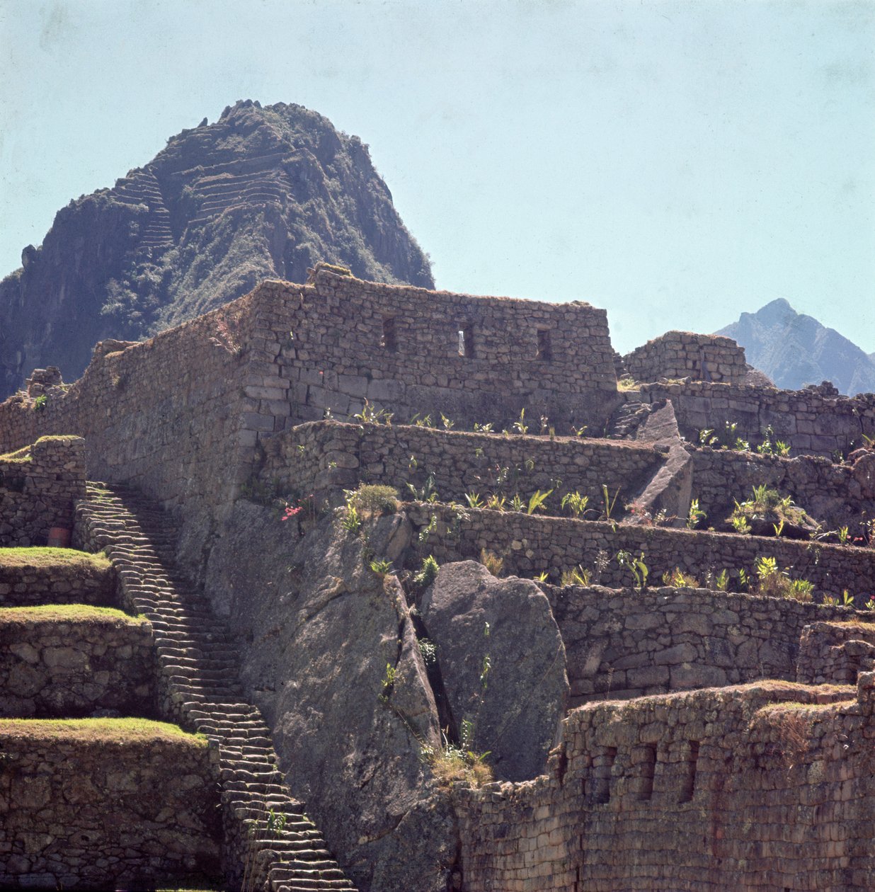 Ruines des bâtiments en terrasse de la citadelle à Machu Picchu - Incan