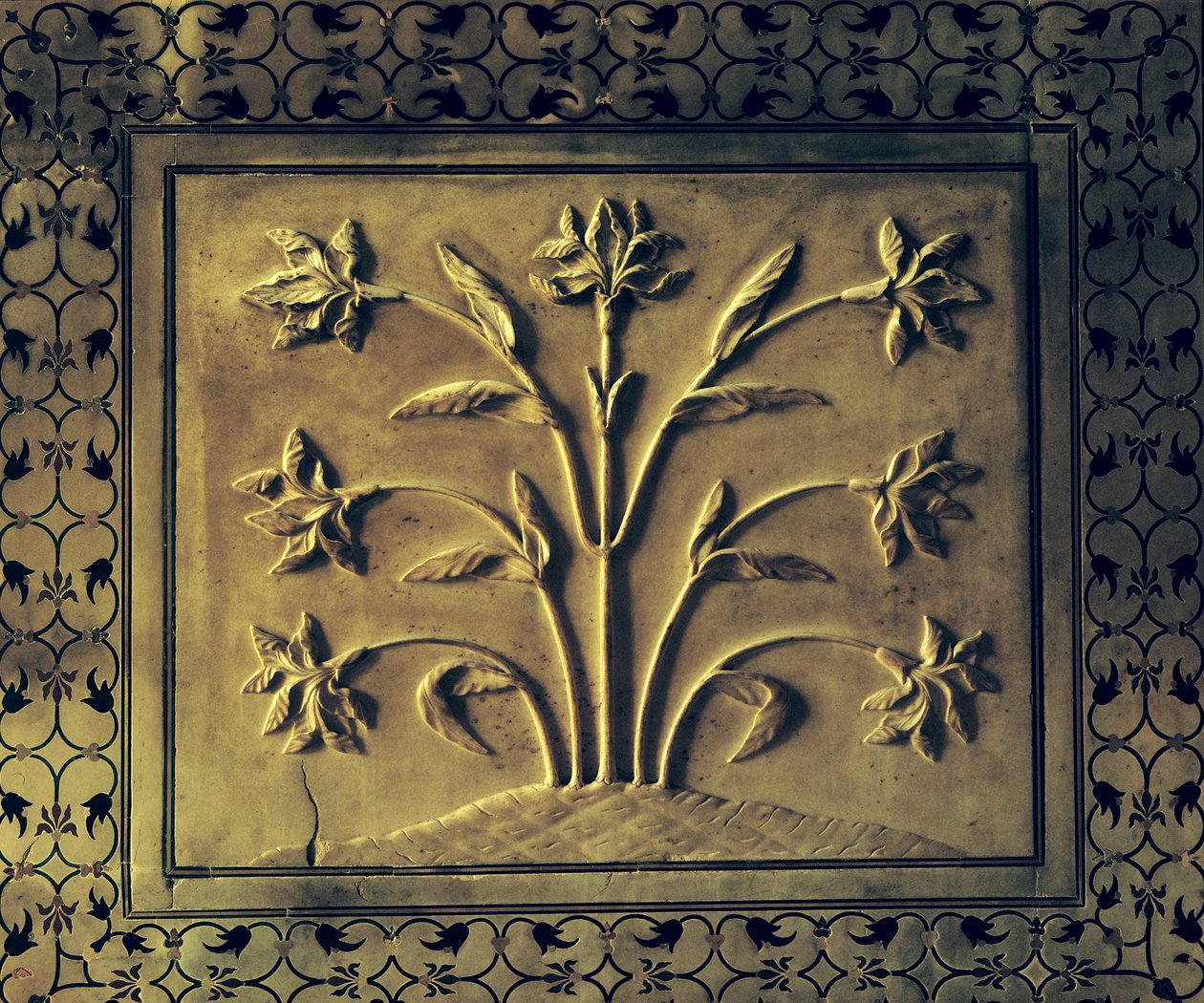 Plante à fleurs, détail d