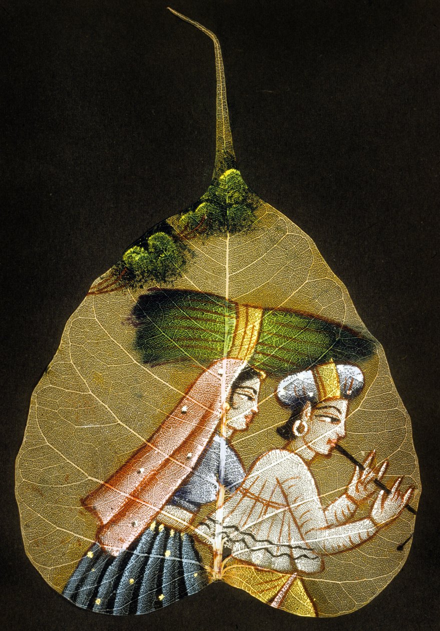 Peinture sur une feuille séchée - Indian School