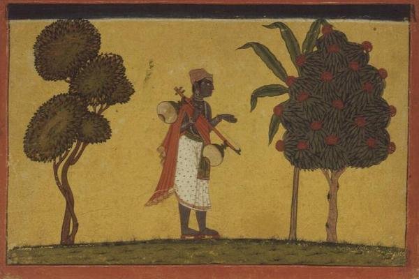 47.19/134 Madhavanala avec une vigne dans la forêt d