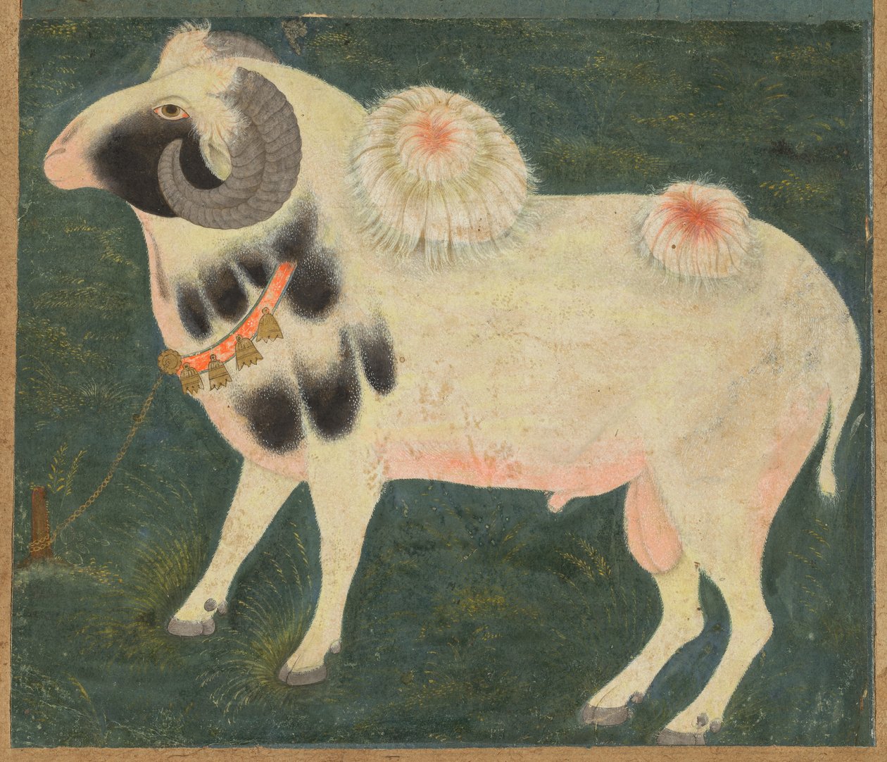 Un bélier royal avec une chaîne en or, vers 1585 - Indian School