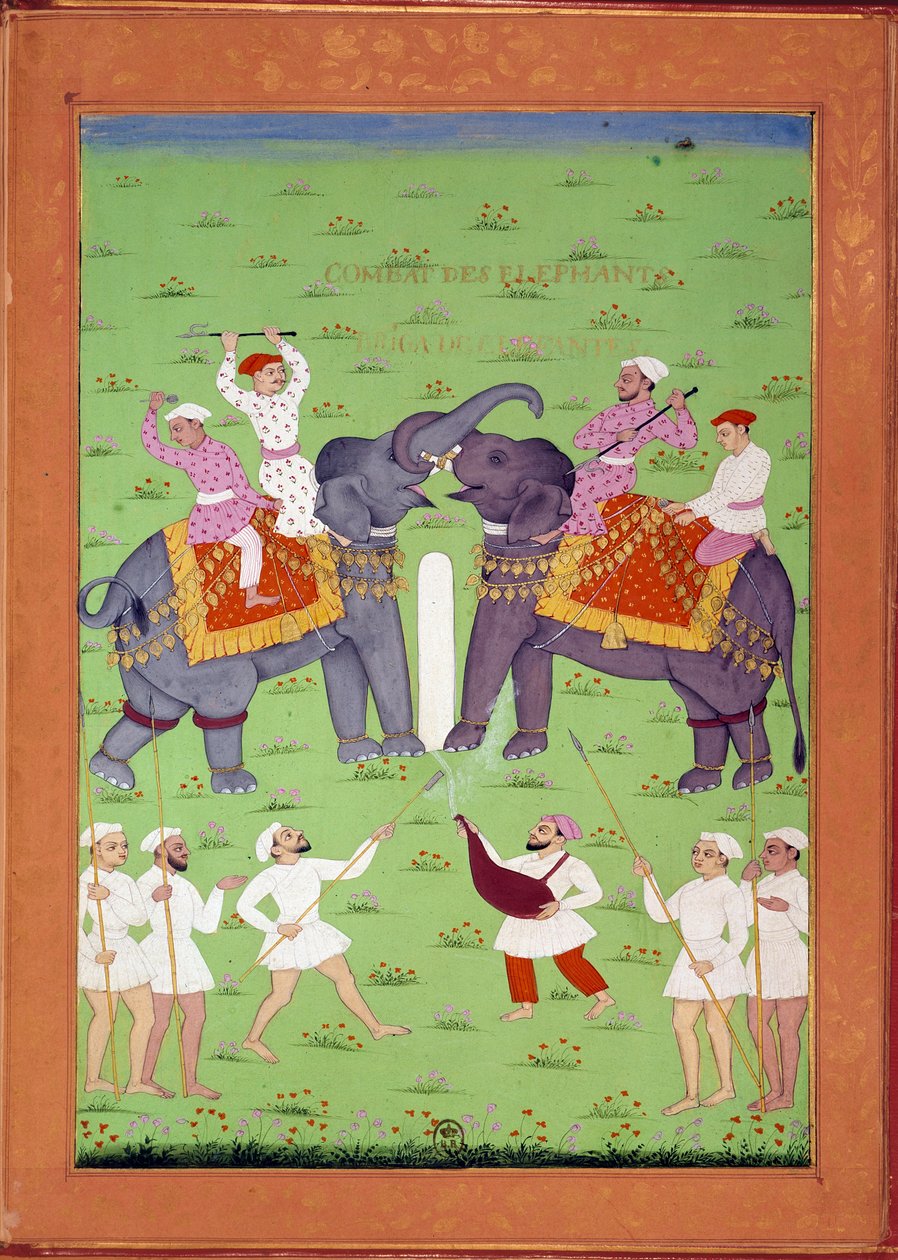 Bataille de deux éléphants à la cour de Shah Alem - Indian School