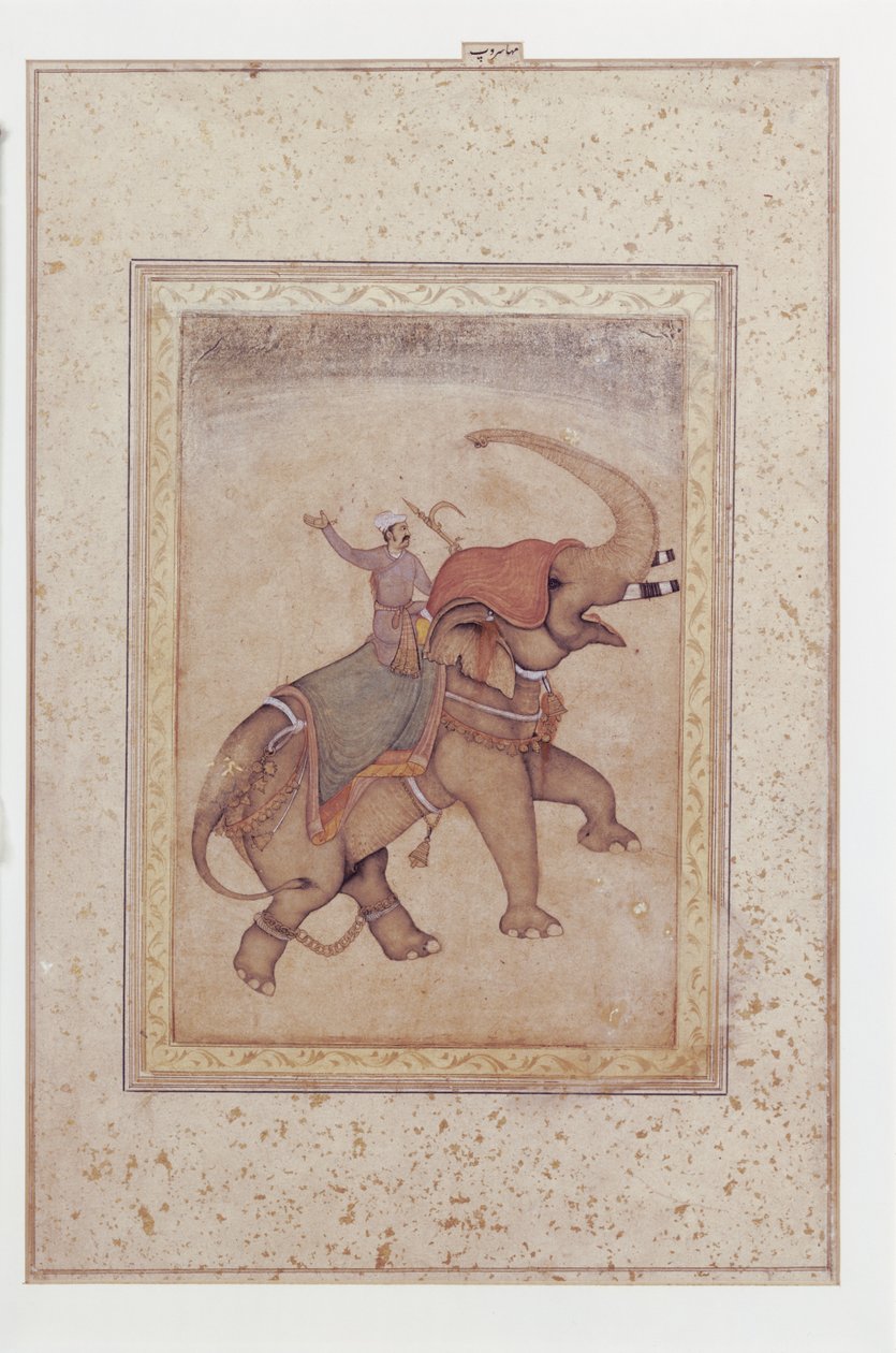 Éléphant et cornac (conducteur d