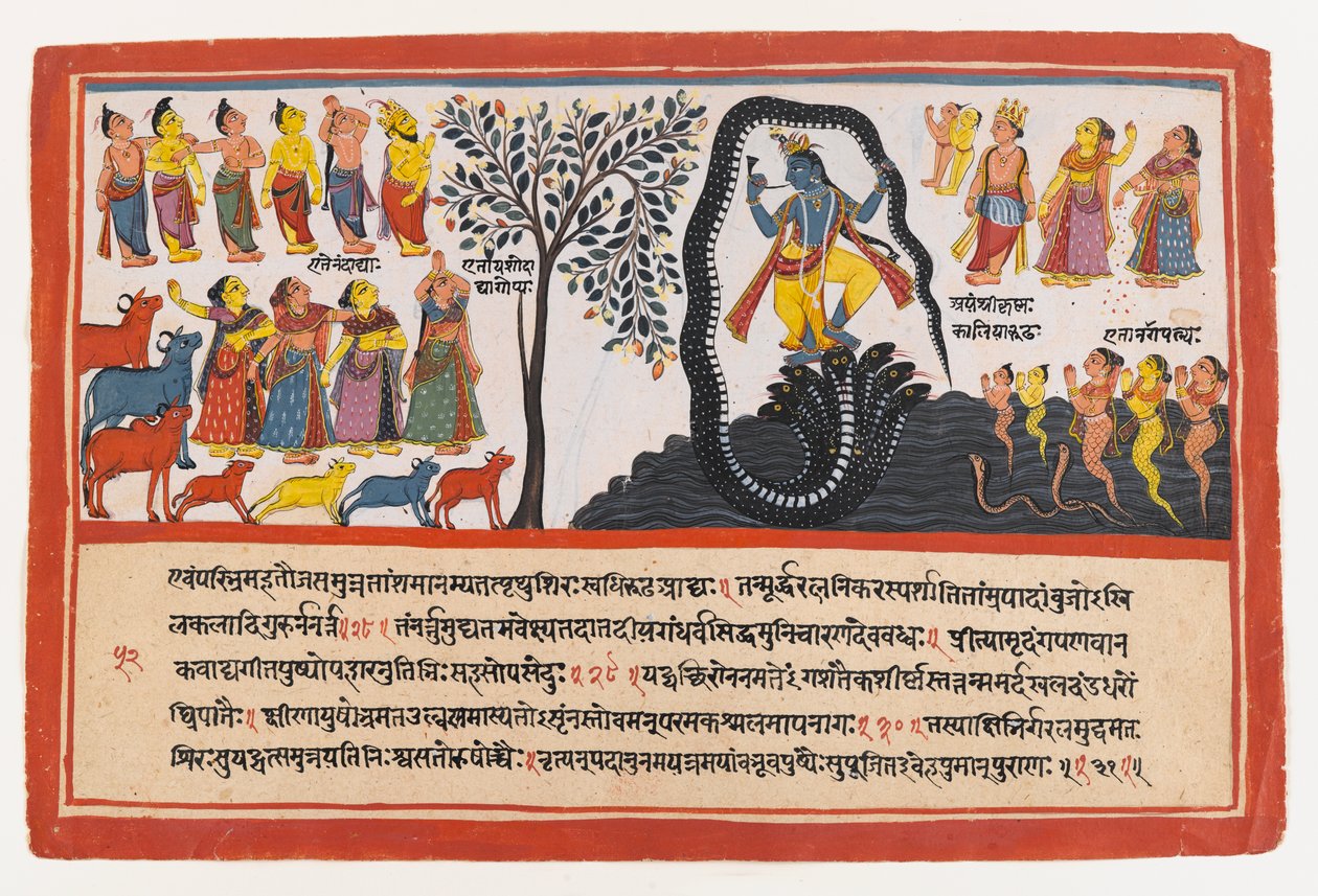 Krishna conquiert le serpent Kaliya, page d