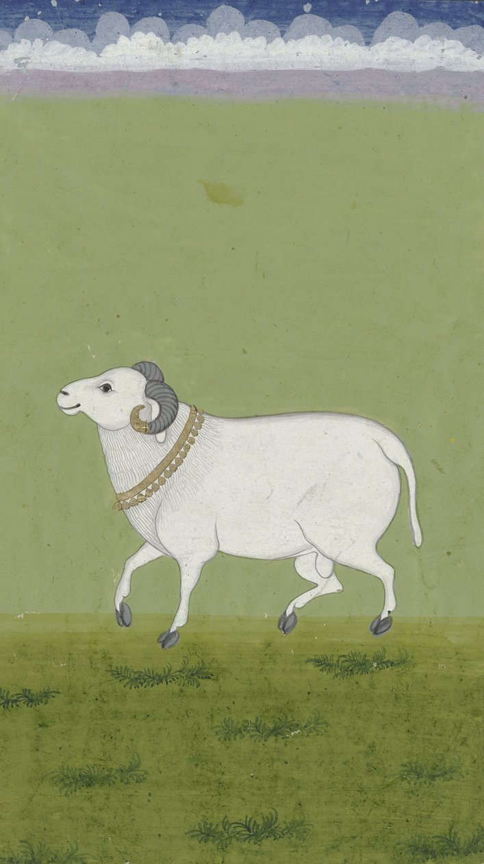 Bélier avec collier doré, 1700-1799 - Indian School
