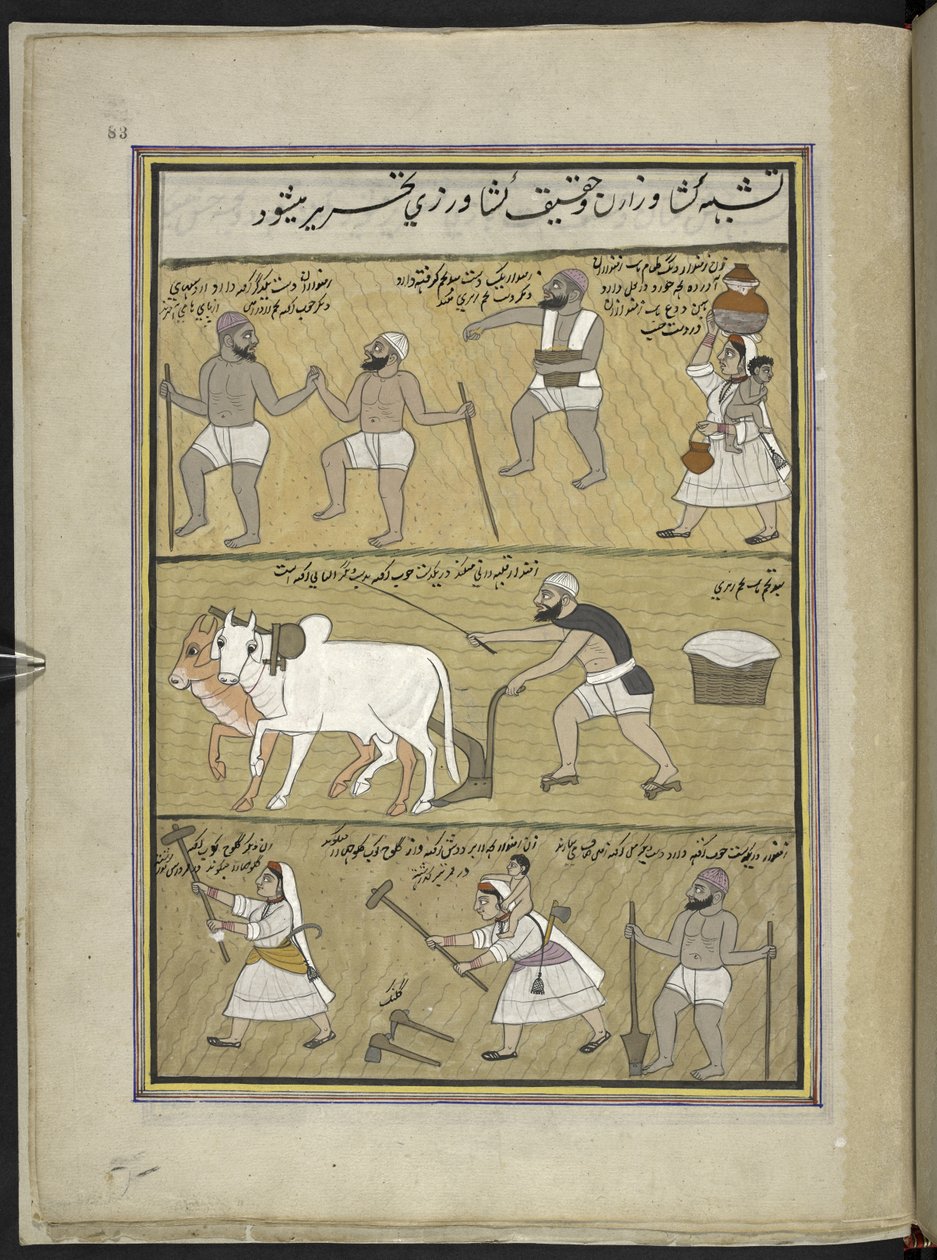 Semer du riz; labourer; casser des mottes, 86 dessins reliés en un volume représentant des métiers et occupations au Cachemire, des artisans montrés au travail avec leurs outils et équipements, par un artiste du Cachemire, probablement à Srinagar, c.1850-6 - Indian School