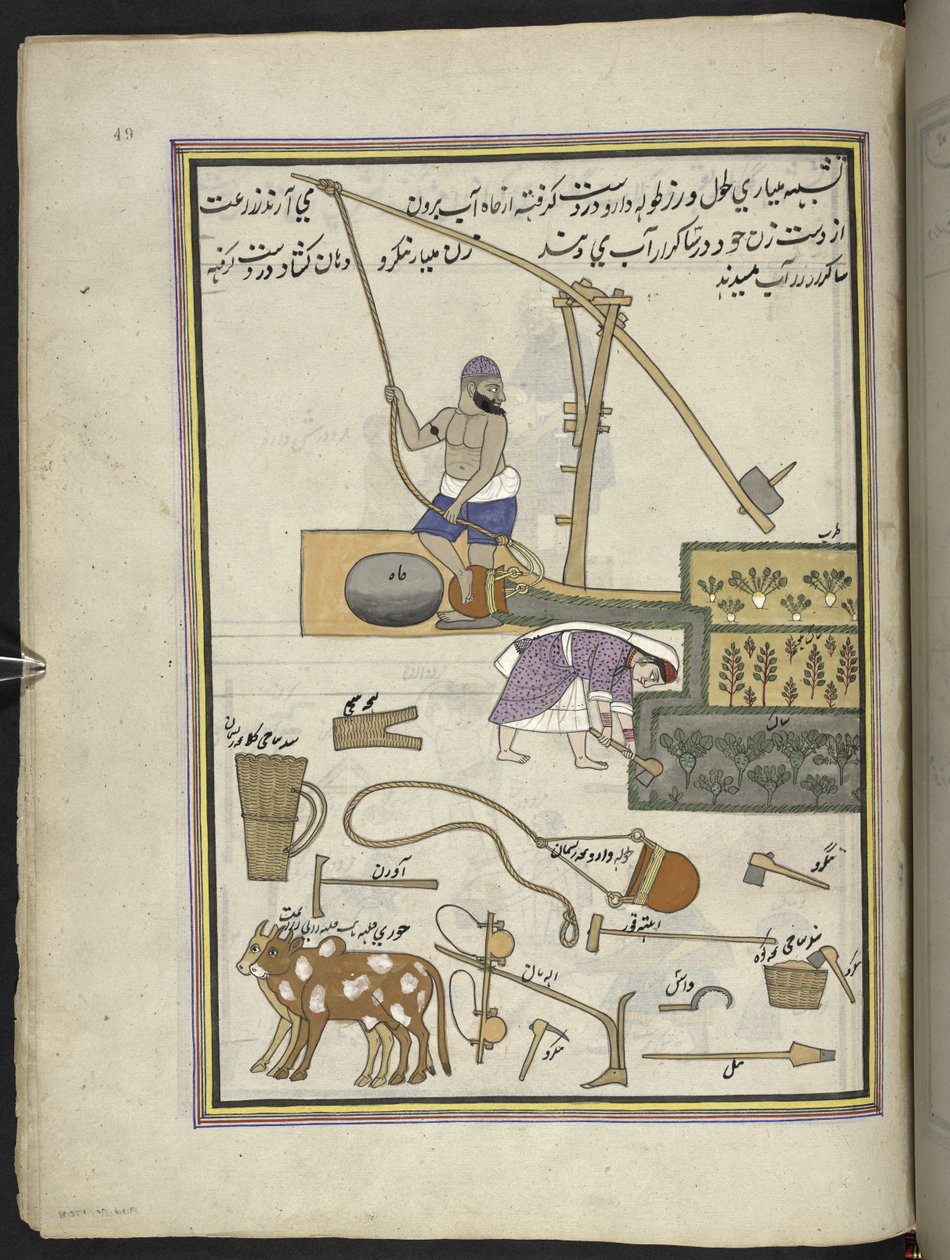 Cultivateurs de légumes avec puits - Indian School