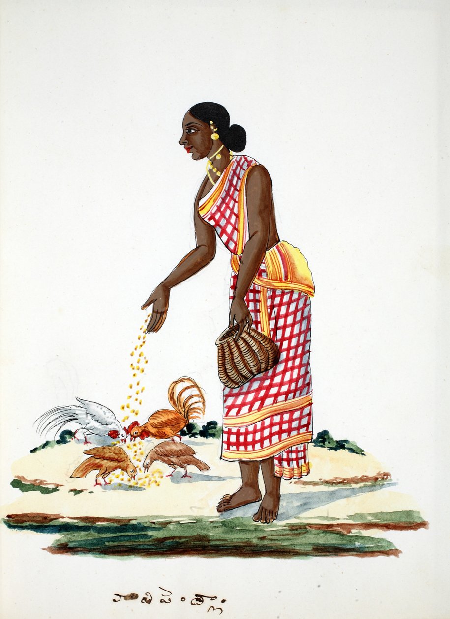 Femme nourrissant des poules - Indian School