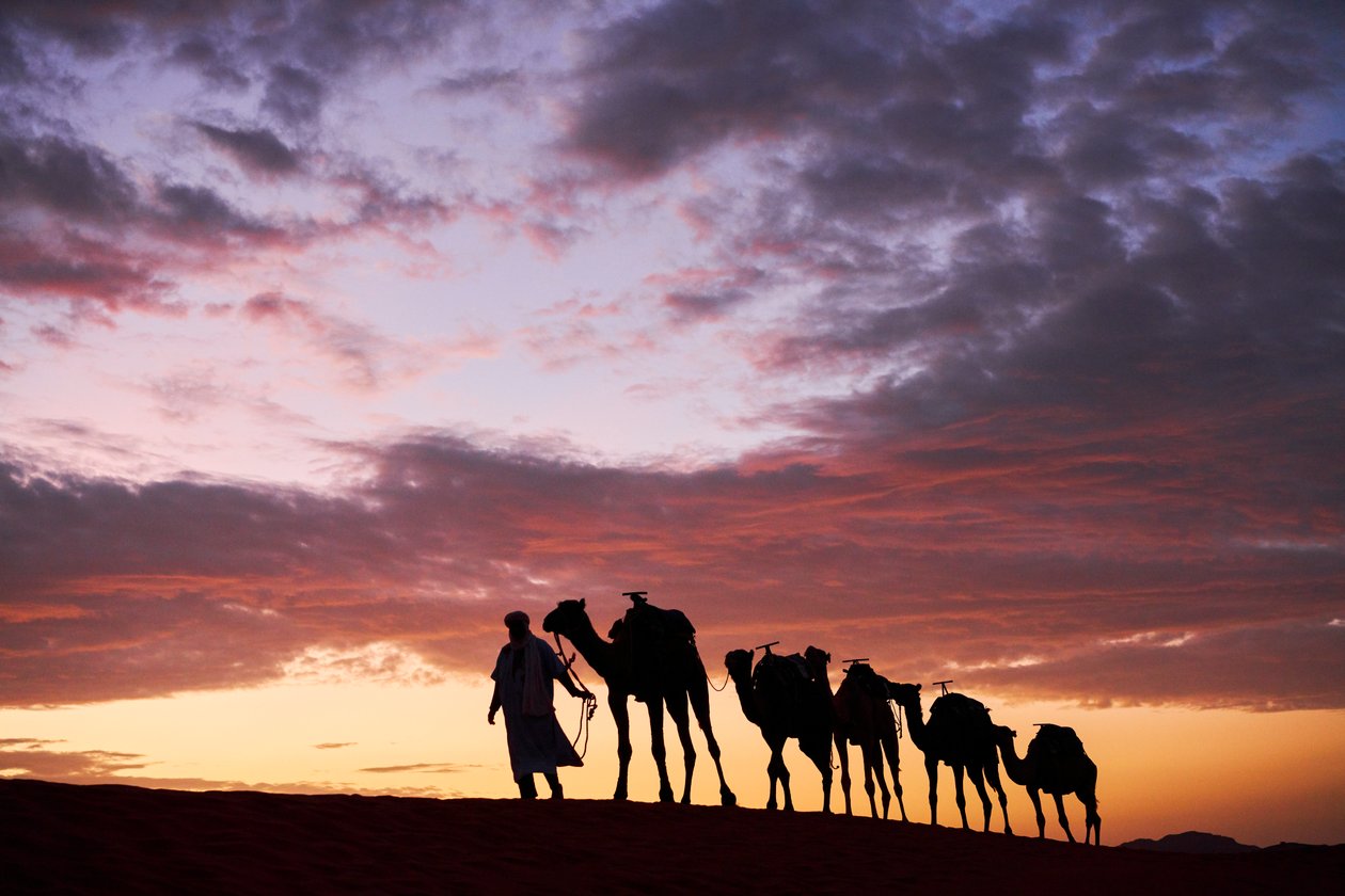 Un chamelier conduit ses chameaux à Erg Chebbi dans le désert de Merzouga, Maroc, 2019 - Ira Block