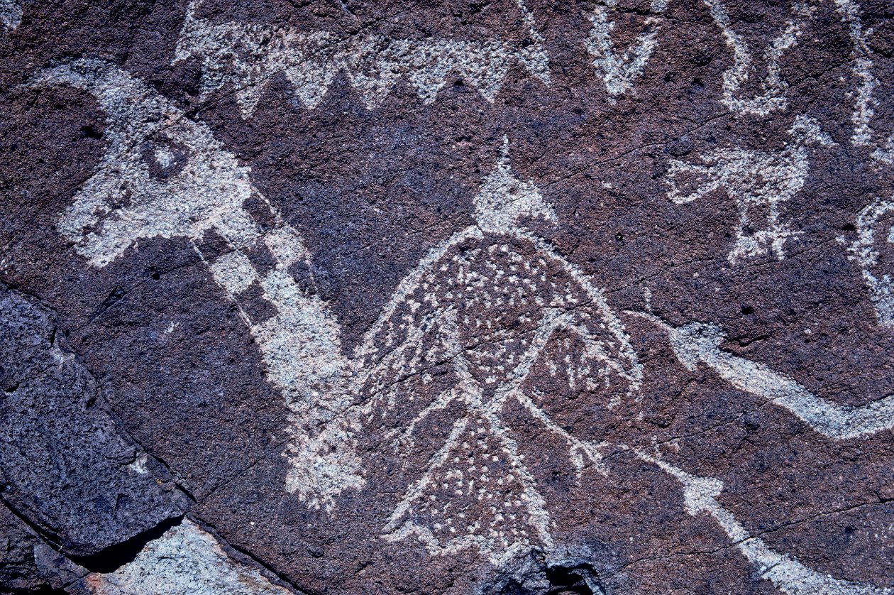 Pétroglyphe Anasazi (art rupestre) en Nouvelle-Mexique - Ira Block