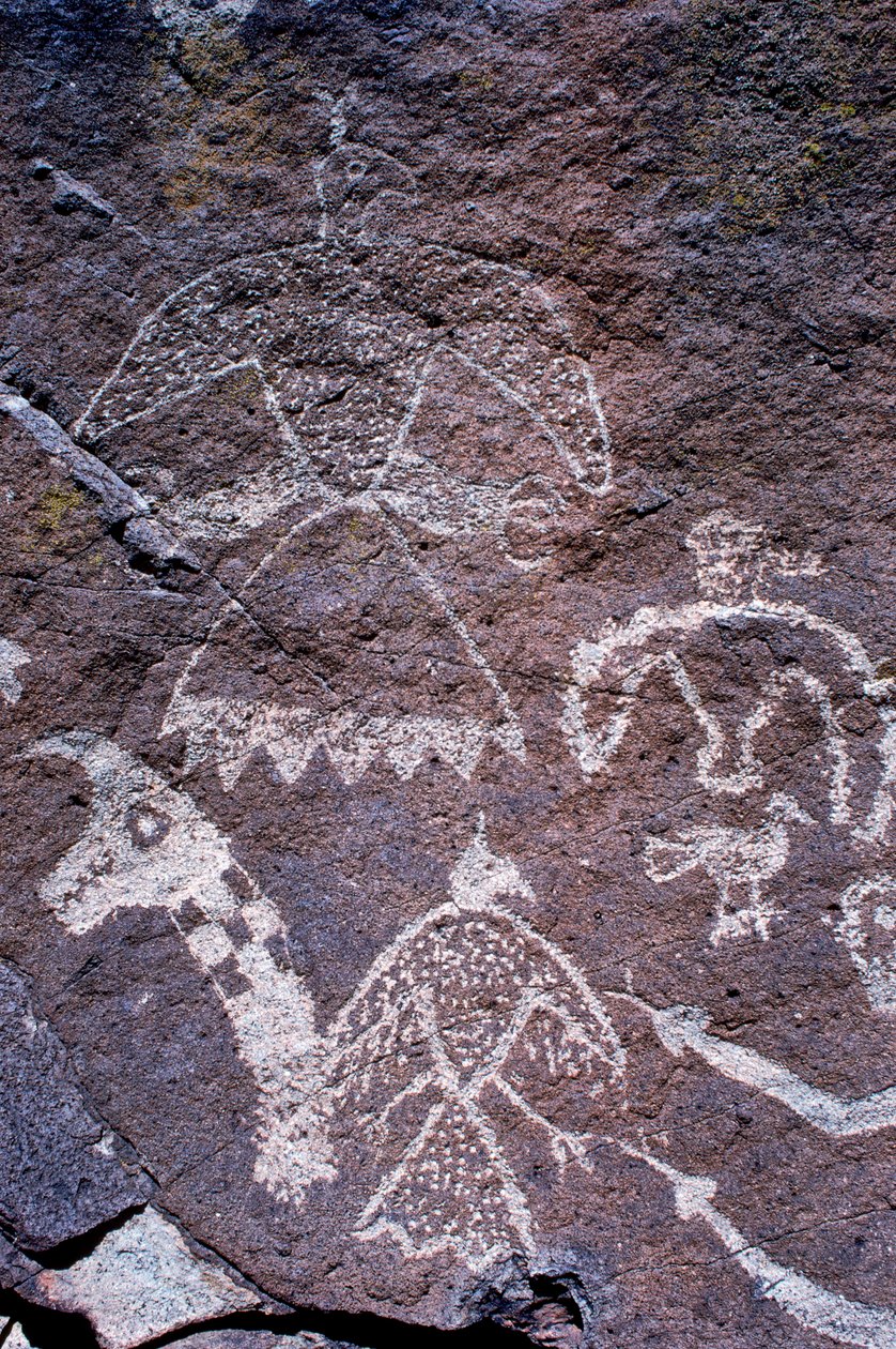 Gravures rupestres Anasazi trouvées au Nouveau-Mexique - Ira Block
