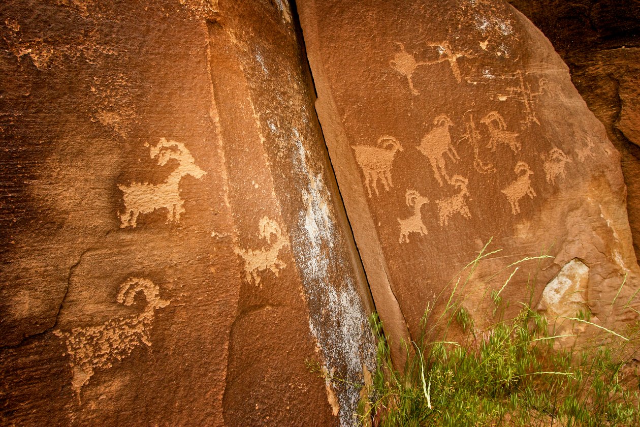 Dans le canyon de Nine Mile, panneaux de moutons près du site de pétroglyphes de Sandhill Crane, 2005 - Ira Block