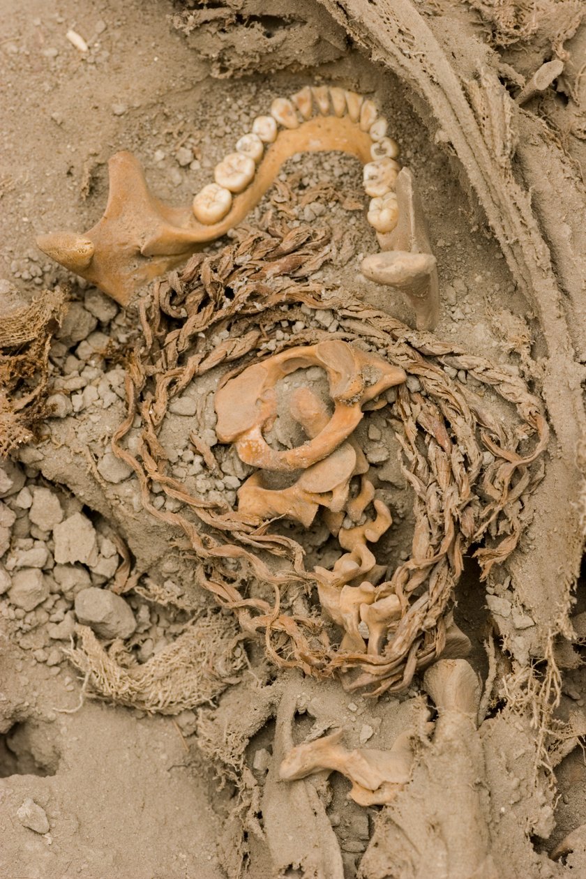 Les restes du sacrifice féminin, 2005 - Ira Block
