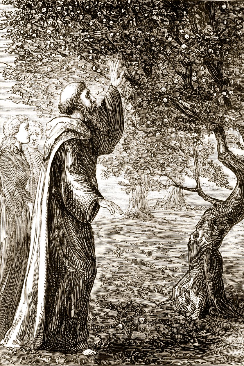 Saint Columba change des fruits amers en fruits doux, de The Trias Thaumaturga, ou Trois Saints Thaumaturges d