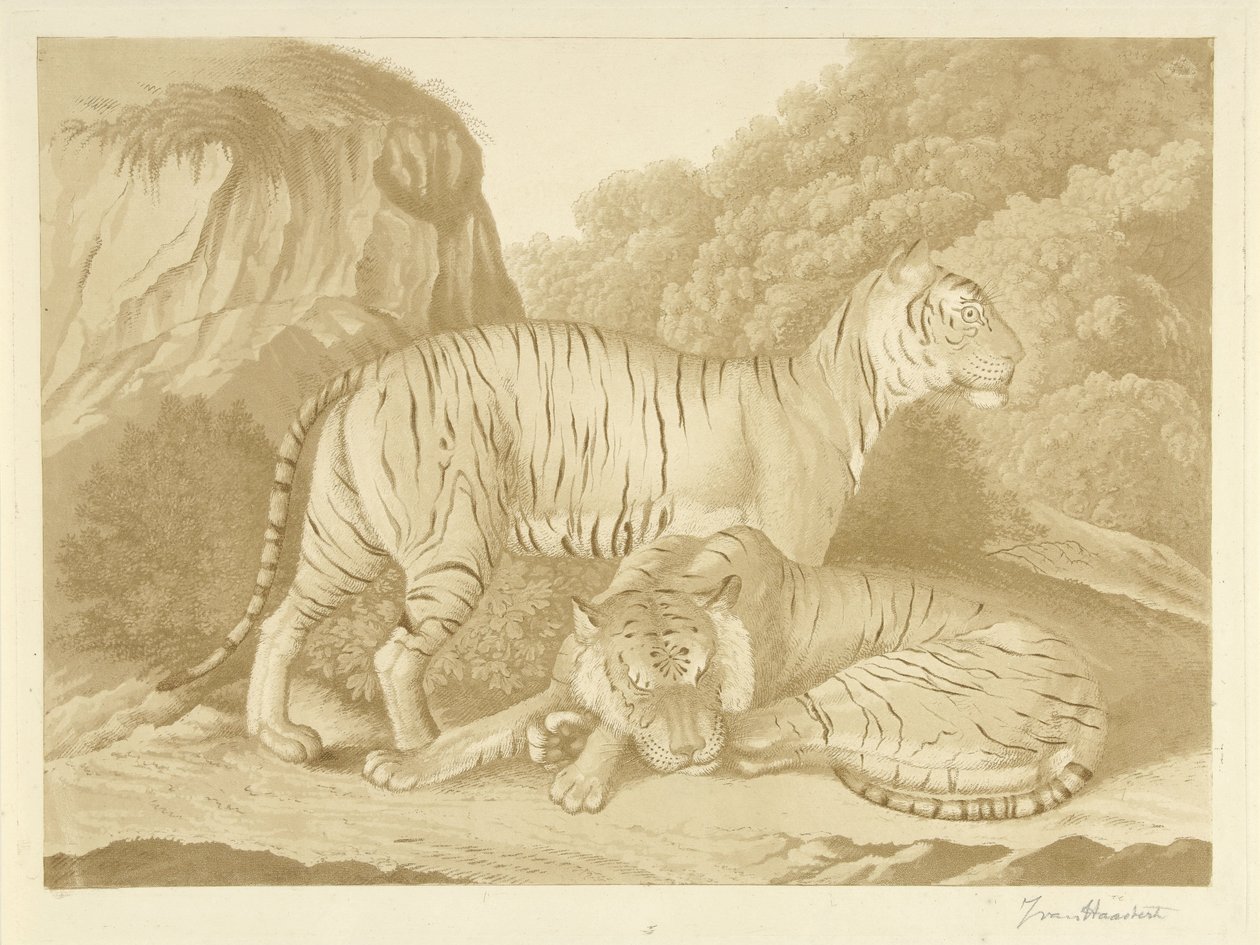 Deux tigres dans un paysage - Isaac van Haastert (signed by artist)