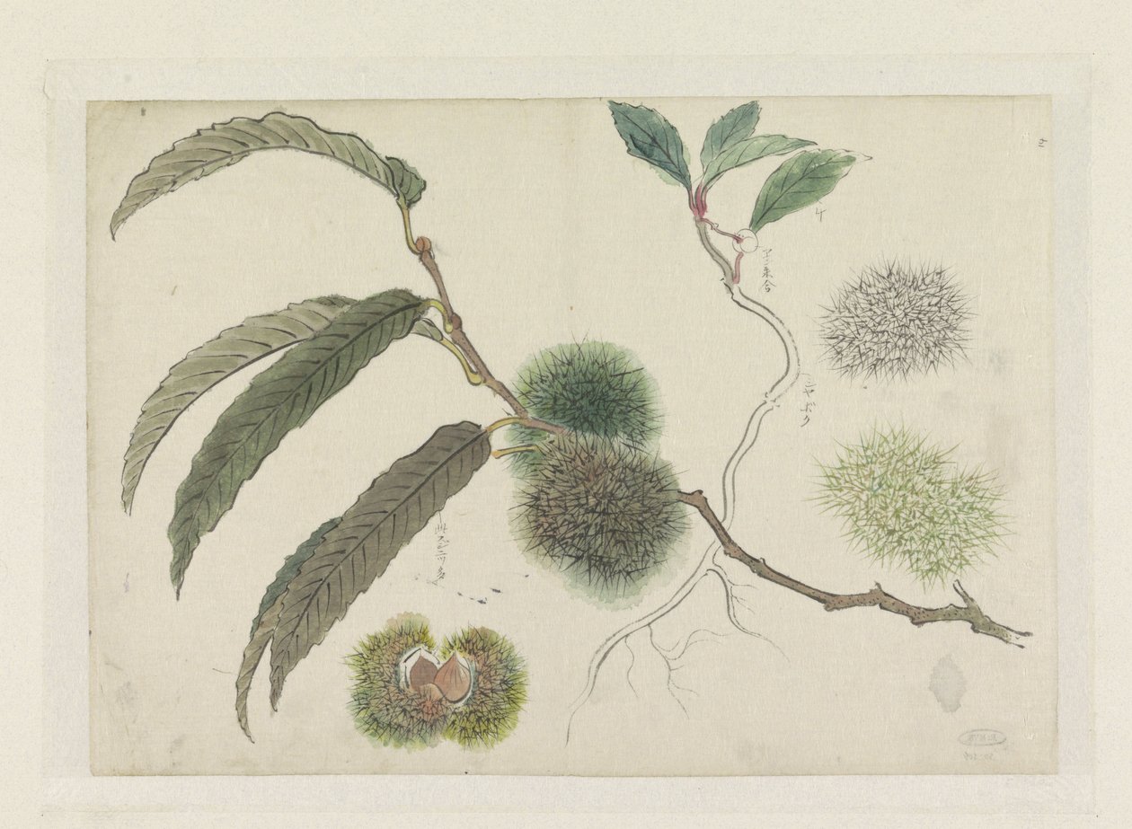 Châtaignes sur une branche - Ishikawa Kazan