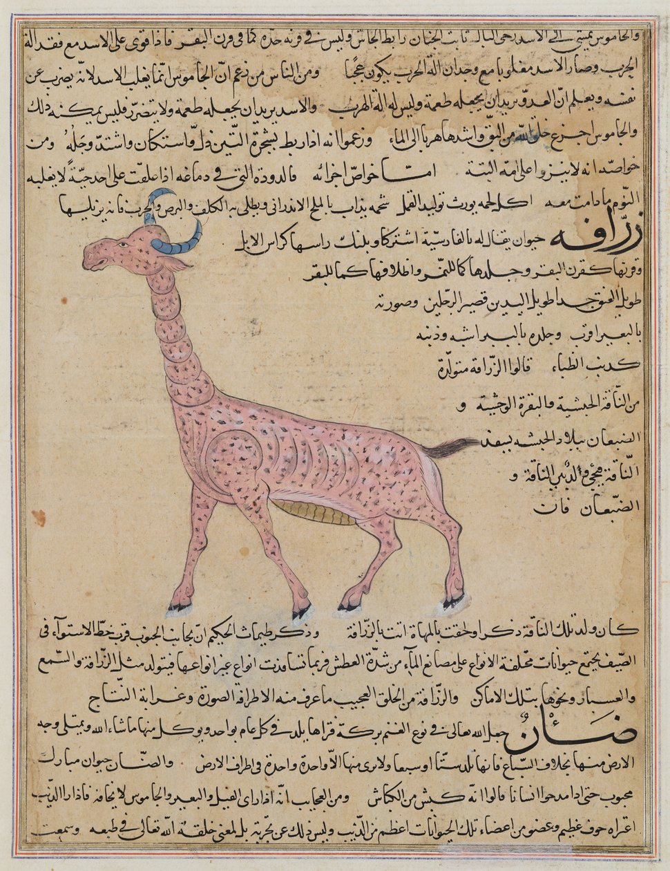 Ms E-7 fol.180 Une girafe, de 