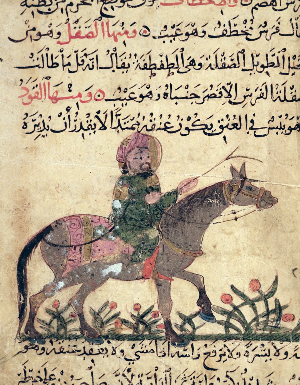 Cheval et cavalier, illustration du 