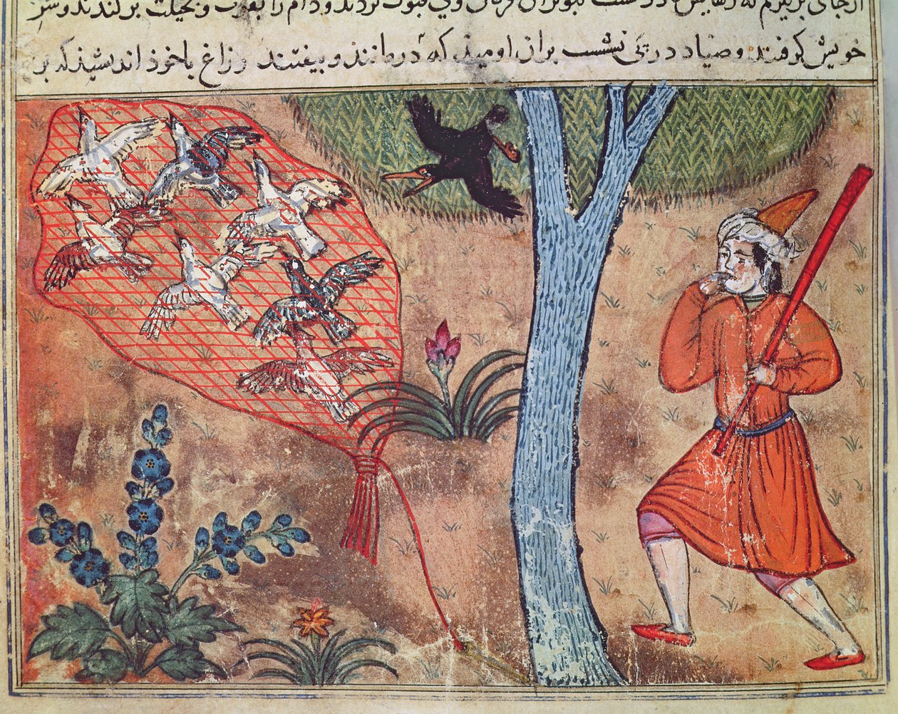 Chasse aux oiseaux, du 