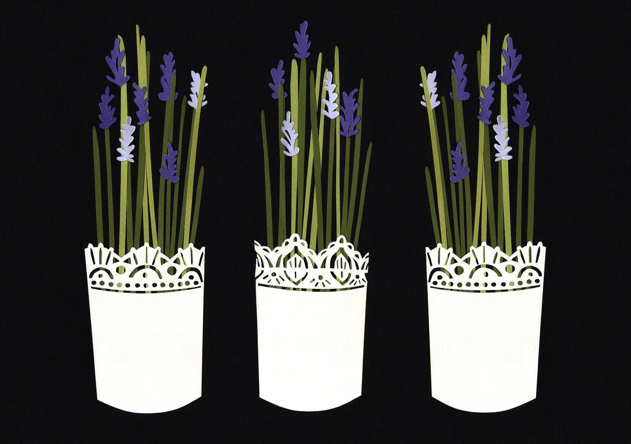 Pots de lavande, 2014 (papier) - Isobel Barber