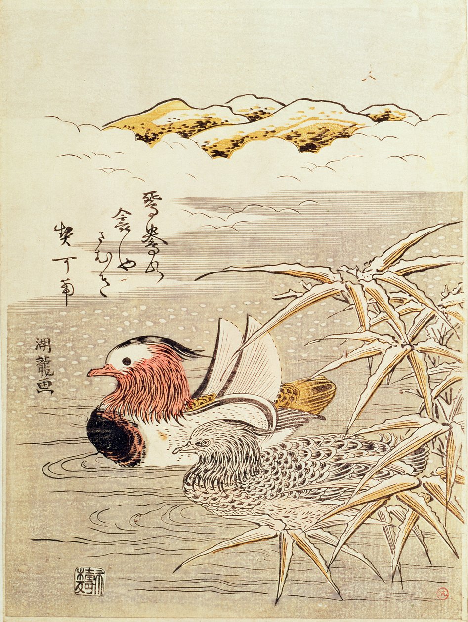 Une paire de canards mandarins - Isoda Koryusai