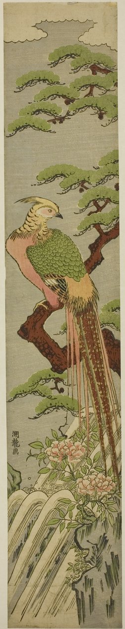 Faisan doré sur un pin au-dessus des pivoines et de la cascade - Isoda Koryusai
