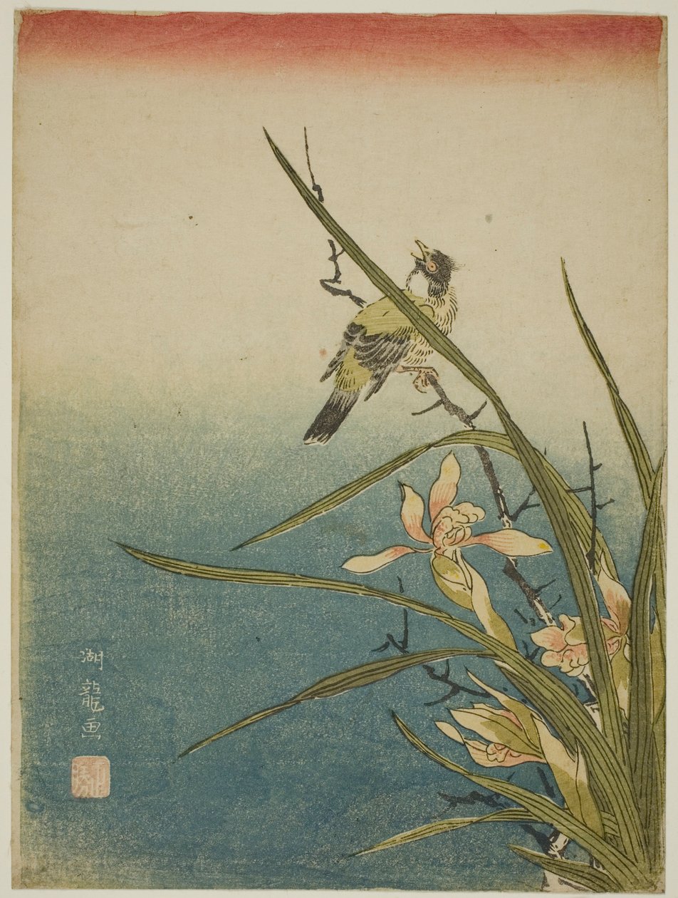 Orchidée et oiseau - Isoda Koryusai