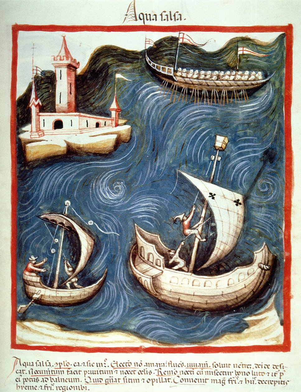 Bateaux sur la mer, illustration du Tacuinum Sanitatis Codex Vindobonensis - Italian School