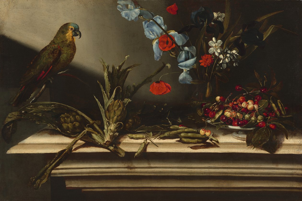 Nature morte avec artichauts et perroquet - Italian 17th Century