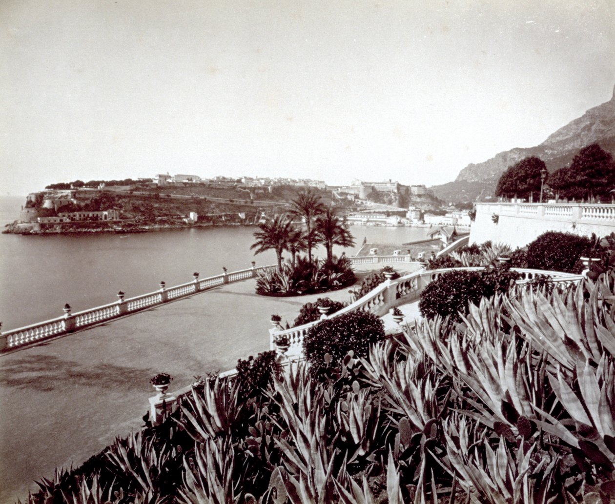 Panorama de Montecarlo. Au premier plan, végétation dense de plantes d