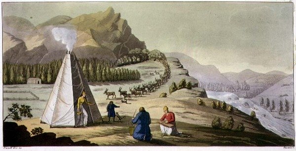Une hutte lapone ou tente octogonale avec un troupeau de rennes descendant de la montagne, planche 47 de 