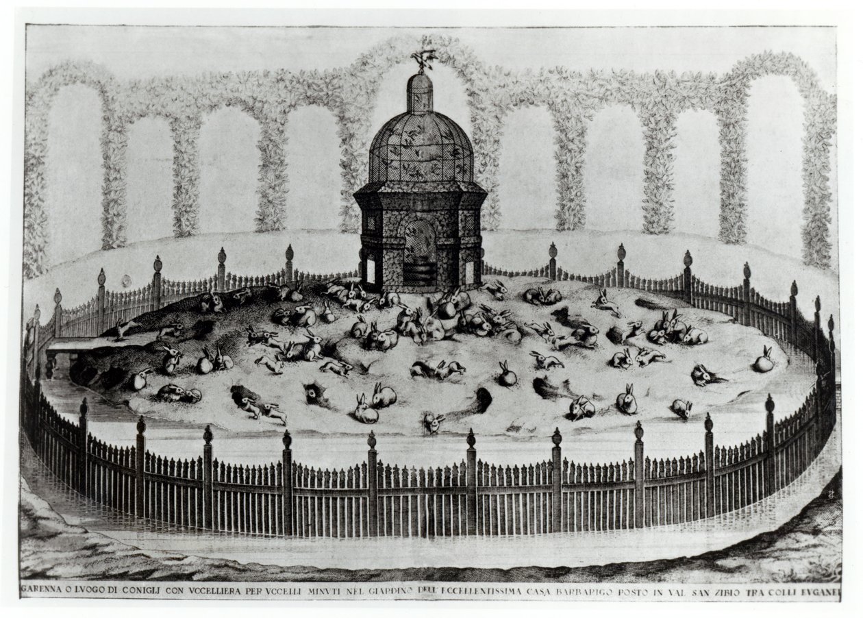 Clapier avec une volière pour petits oiseaux, de Le Fabbriche e i Giardini dell