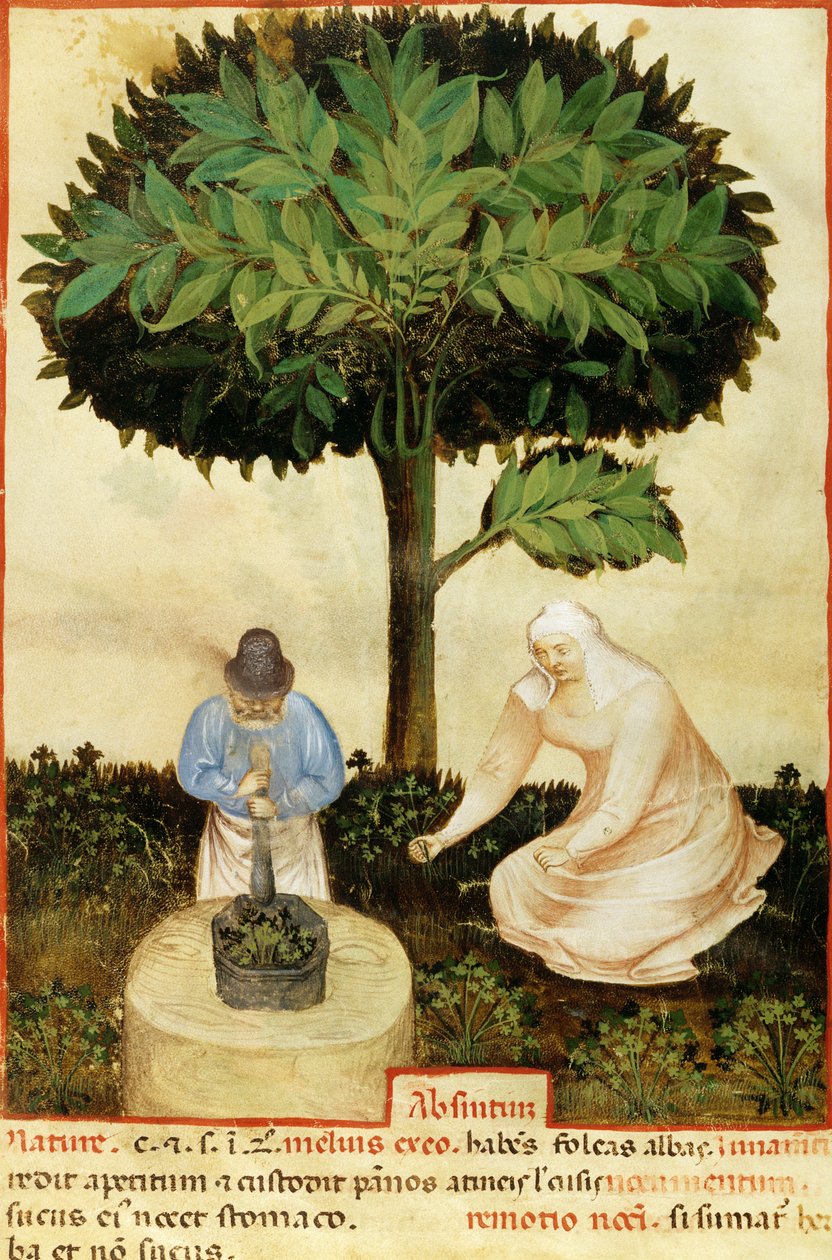 Absinthe, d