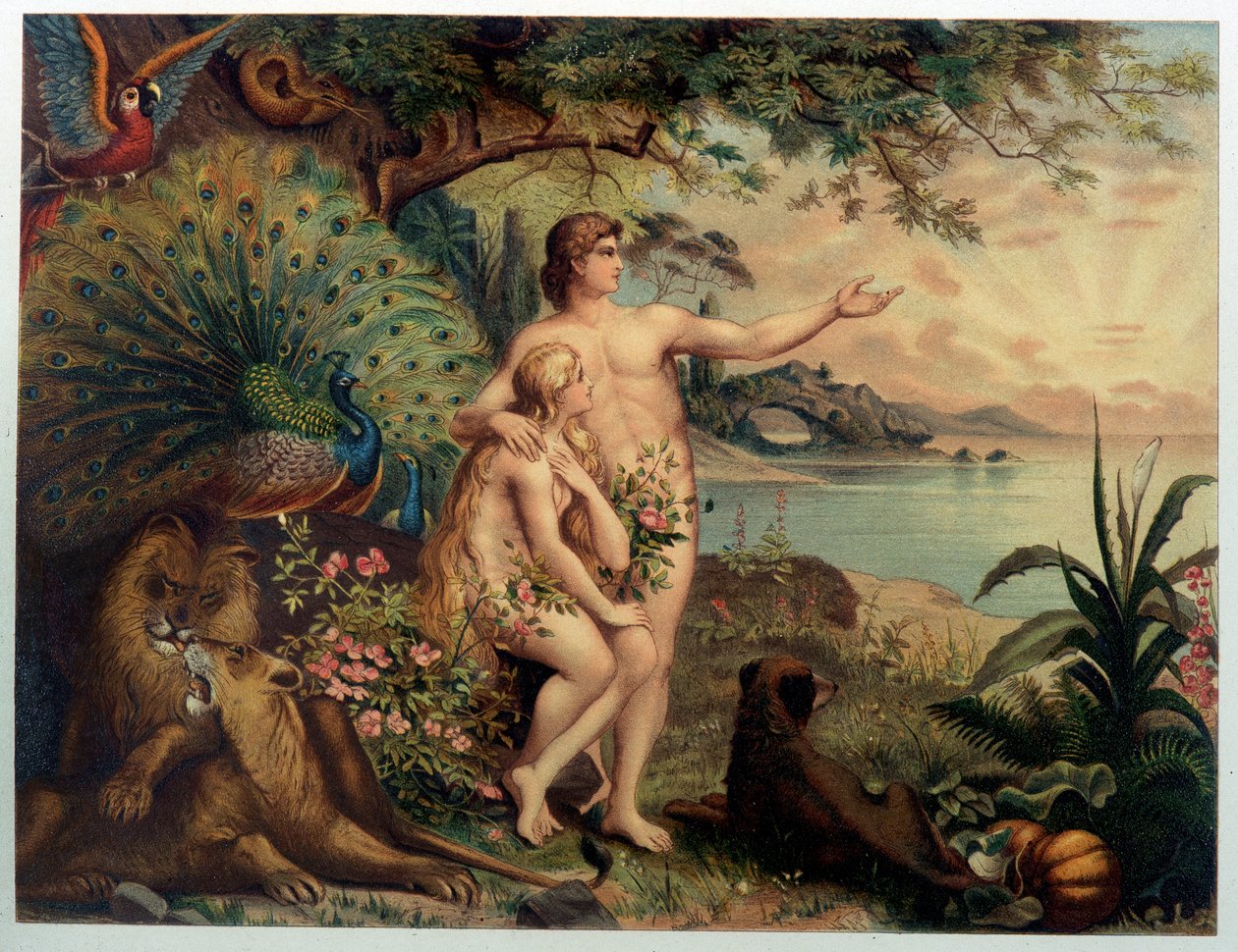 Adam et Ève au Paradis terrestre (Eden) - dans « Aurea Bibbia classica: storia della rivelazione divina nell