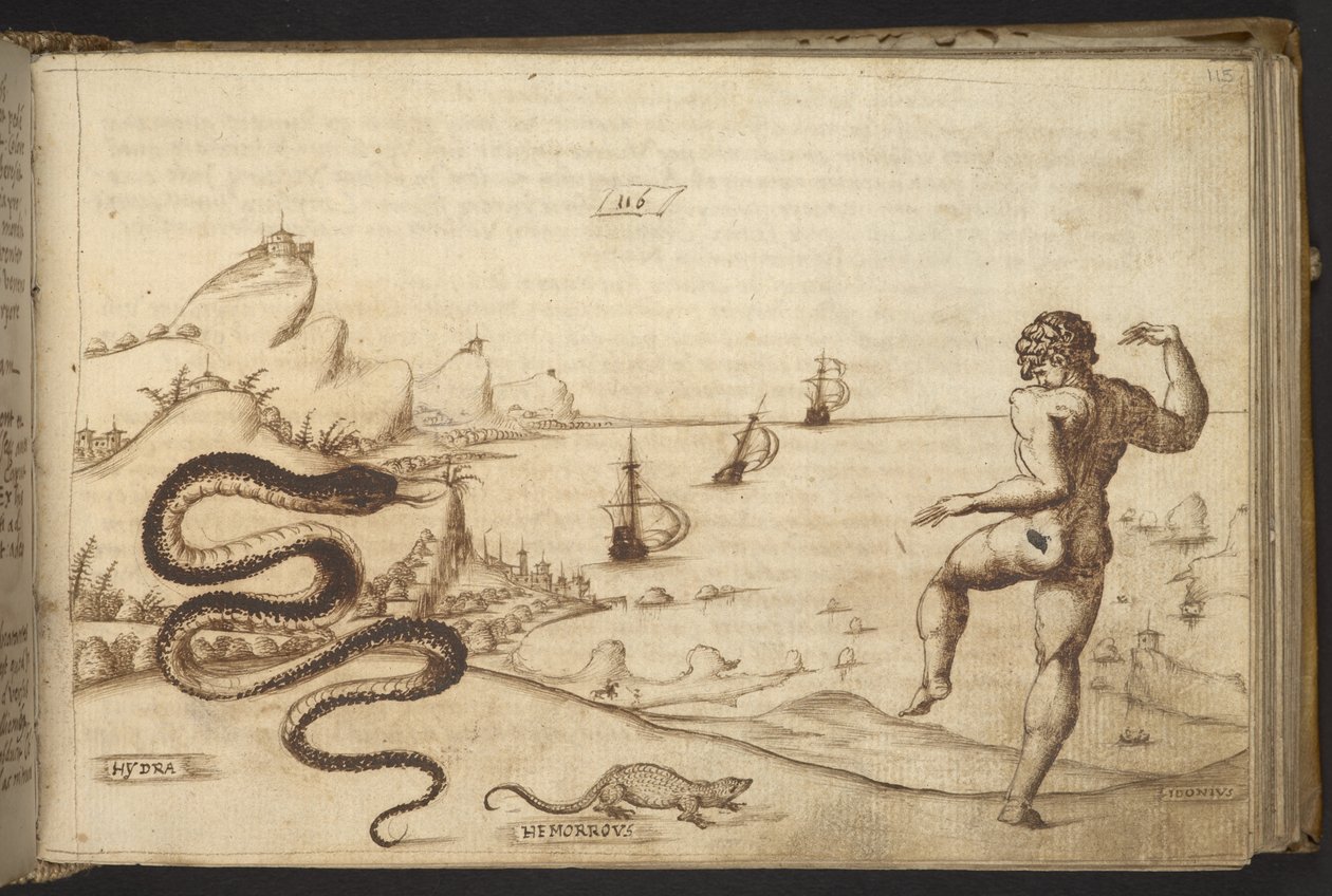 Add. 82955, f.115 Serpent (