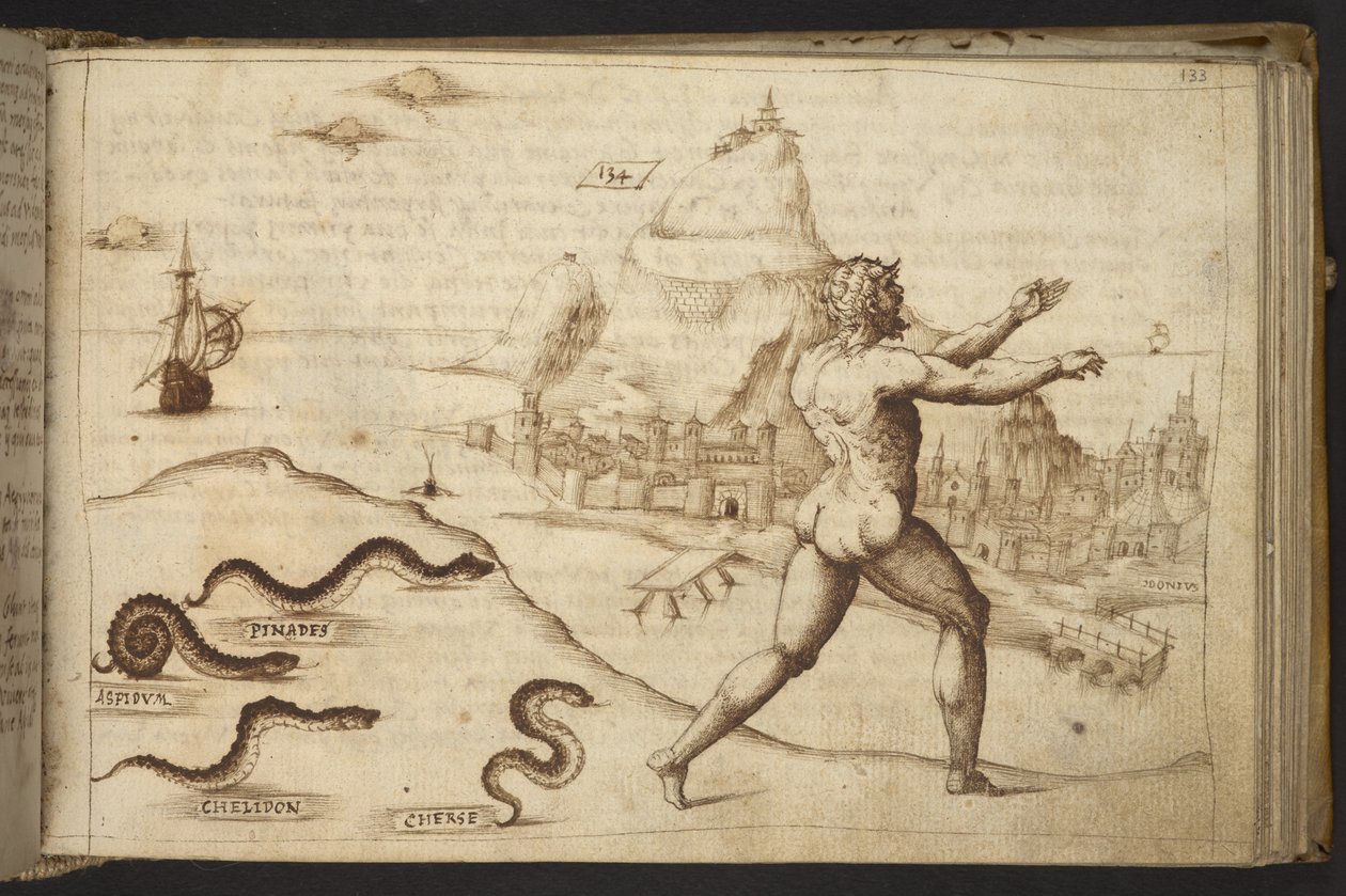 Des serpents poursuivant une figure humaine, de Historia Animalium, 1595 - Italian School
