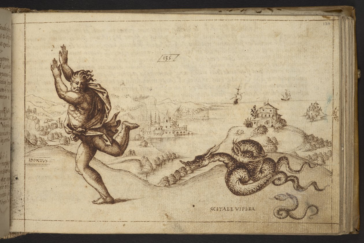 Figure humaine poursuivie par des serpents, de Historia Animalium - Italian School